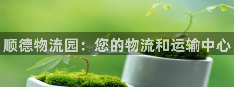 28圈aPP退款