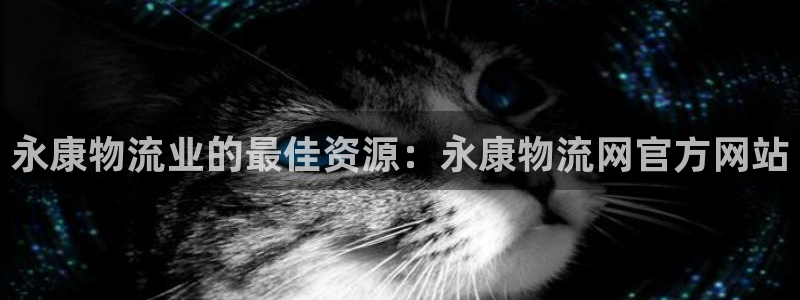 28圈注册网站谁有：永康物流业的最佳