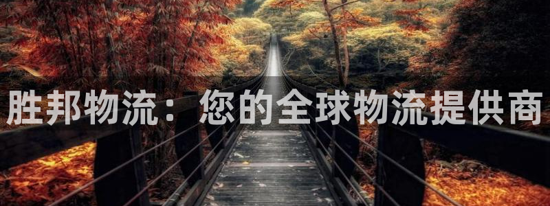 28圈.ccmpc是诈骗吗?：胜邦物