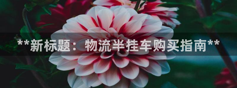 28圈客服一直不回消息怎么办