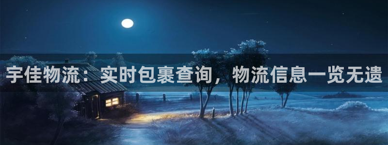 28圈黑吗：宇佳物流：实时包裹查询，
