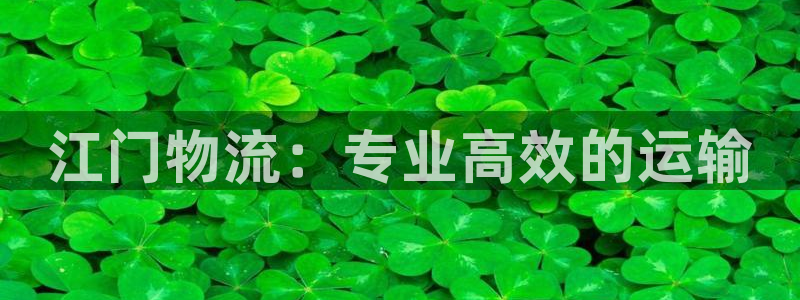 28圈平台注册：江门物流：专业高效的