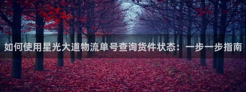 28圈登录网：如何使用星光大道物流单