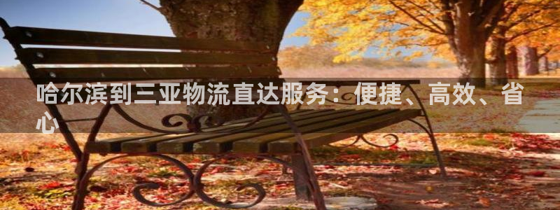28圈h5链接：哈尔滨到三亚物流直达