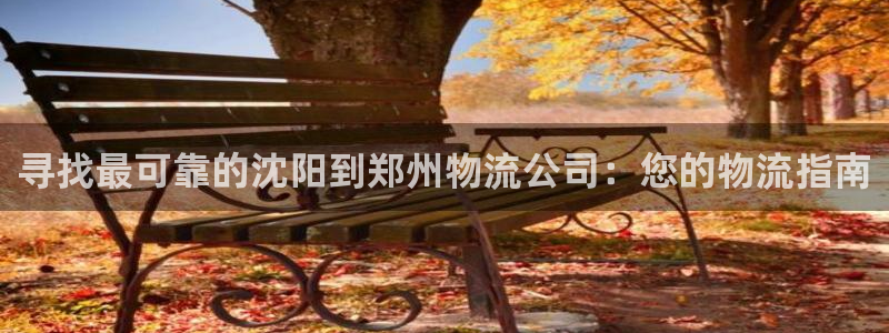 28圈退款