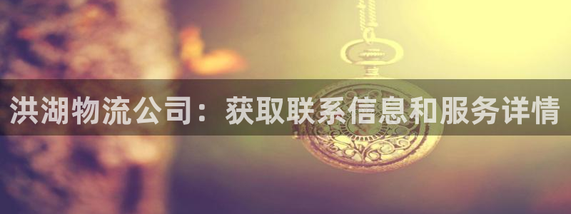 28圈注册地址：洪湖物流公司：获取联