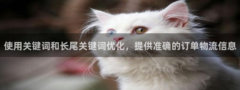 28圈官网下载链接是什么