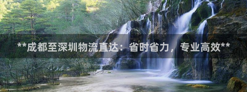 28圈代理落网：**成都至深圳物流直