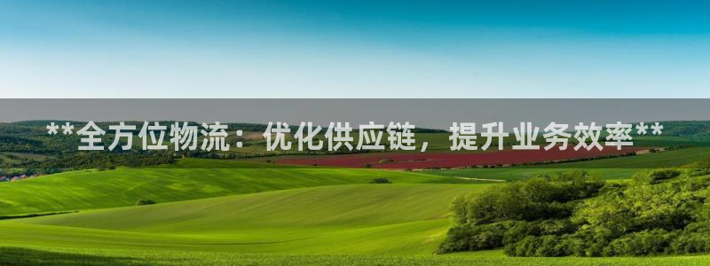 28圈加拿大能提现吗：**全方位物流