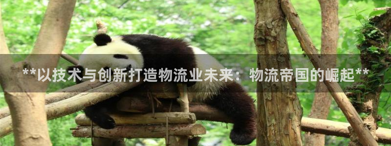加拿大28圈注册链接：**以技术与创