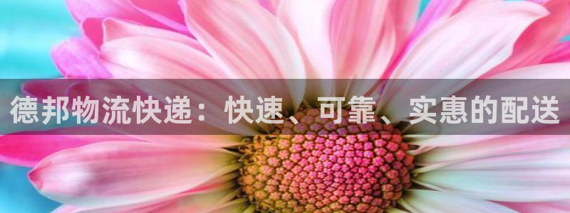 28圈能提现吗：德邦物流快递：快速、