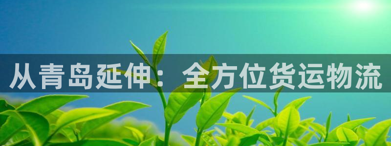 28圈充值不处理：从青岛延伸：全方位