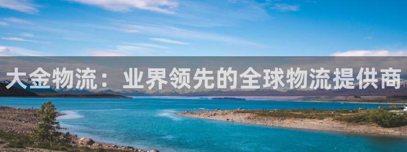 28圈怎么注册：大金物流：业界领先的