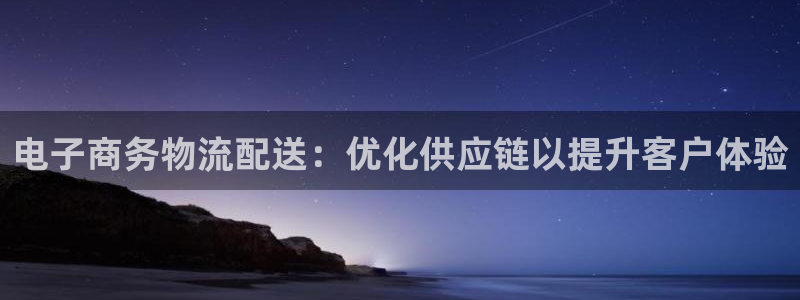 28圈官方版正版：电子商务物流配送：