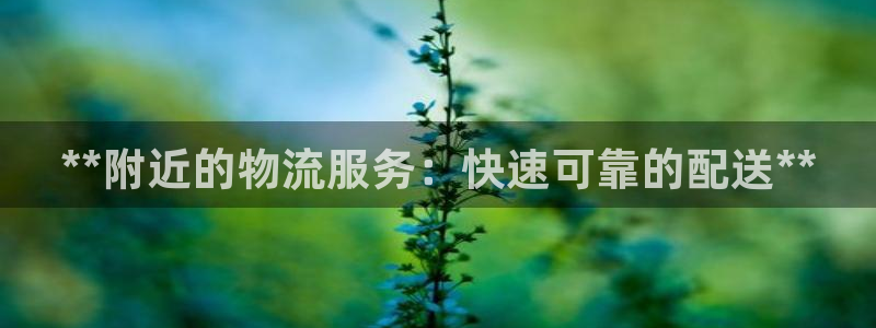 28圈大神预测