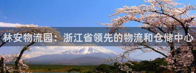 28圈比特28预测在线预测：林安物流