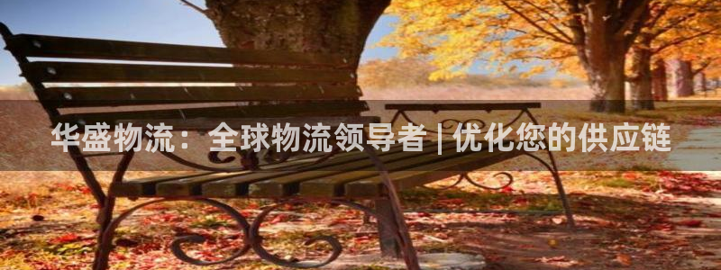 28圈免费充钱：华盛物流：全球物流领