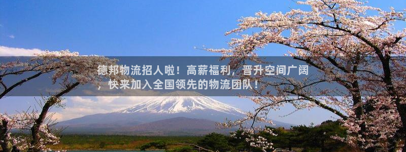 28圈如何看012路计划：德邦物流招