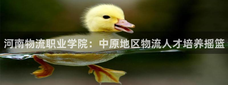 28圈注册网址百度知道：河南物流职业