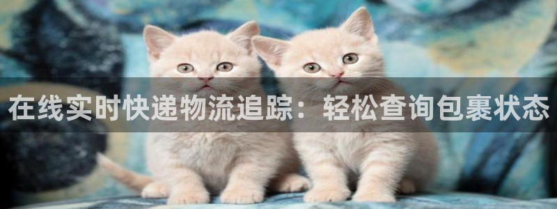 28圈昵称：在线实时快递物流追踪：轻