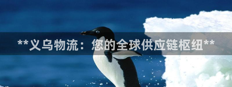 28圈代理落网