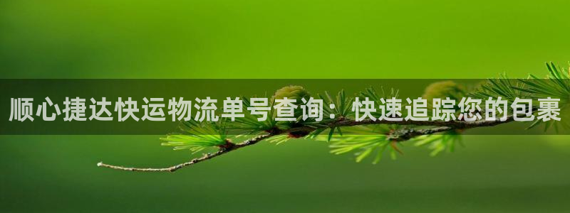 28圈如何看012路计划：顺心捷达快