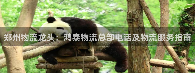 28圈注册用户名是什么：郑州物流龙头