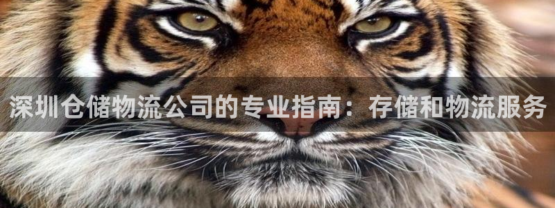 28圈APP是干什么的：深圳仓储物流