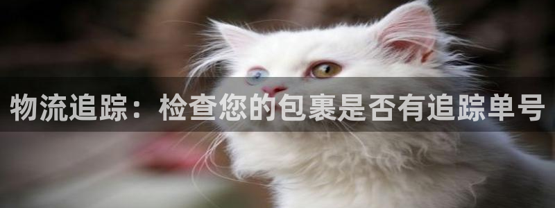 28圈娱乐官网网页：物流追踪：检查您
