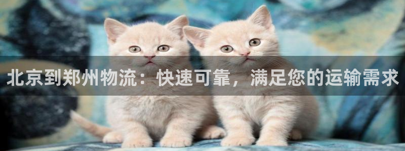 28圈合法吗：北京到郑州物流：快速可