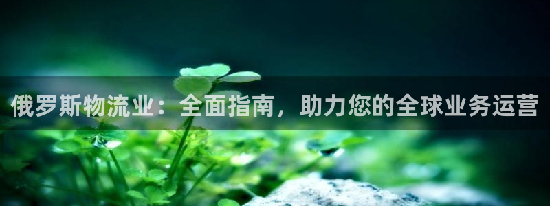 28圈PG电子游戏：俄罗斯物流业：全