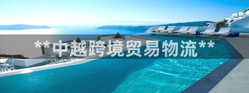 28圈赌博被抓：**中越跨境贸易物流