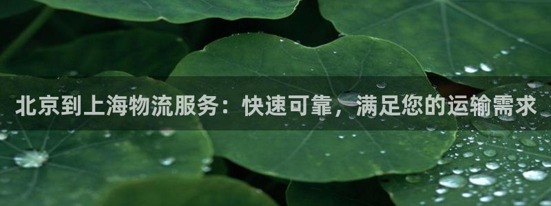 28圈app赢了500万：北京到上海