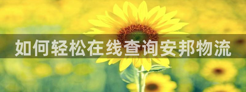 28圈大舞台：如何轻松在线查询安邦物