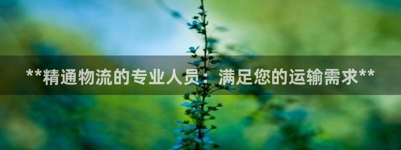 28圈模拟器下载：**精通物流的专业