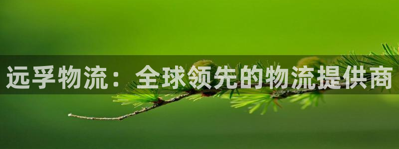 28圈加拿大官网：远孚物流：全球领先