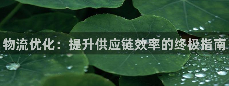 28圈app赢了500万：物流优化：