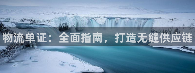 28圈官网版所有版本：物流单证：全面