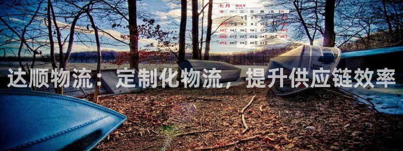 28圈大舞台：达顺物流：定制化物流，