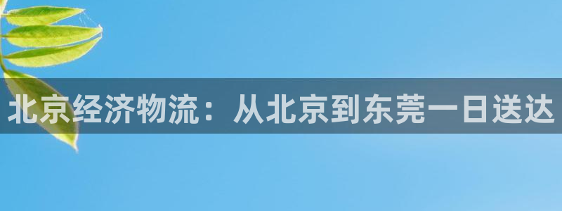 28圈黑款：北京经济物流：从北京到东