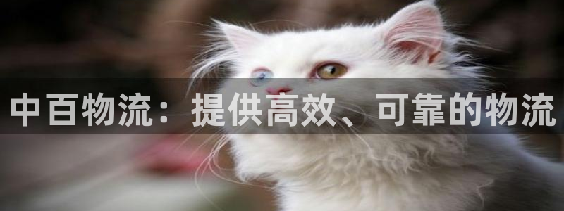 28圈p扣除是什么意思：中百物流：提