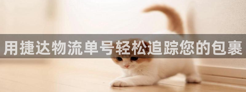 28圈网站平台：用捷达物流单号轻松追
