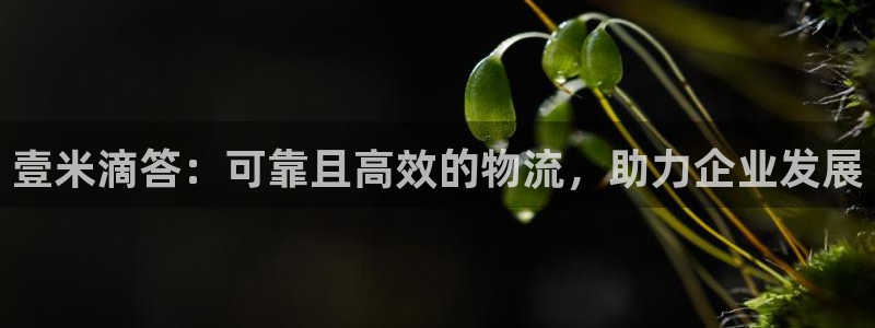 28圈注册链接：壹米滴答：可靠且高效