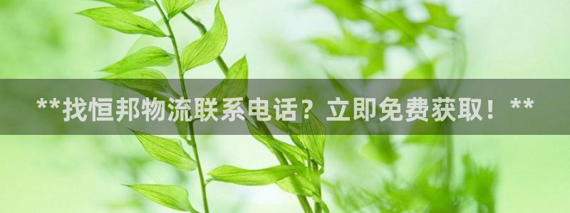 28圈注册链接教程：**找恒邦物流联