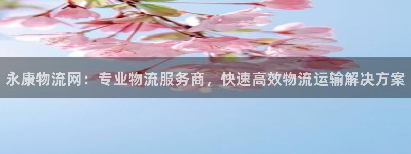 28圈是正规平台吗