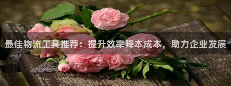 28圈黑钱
