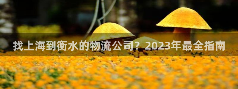 28圈为什么打不开：找上海到衡水的物