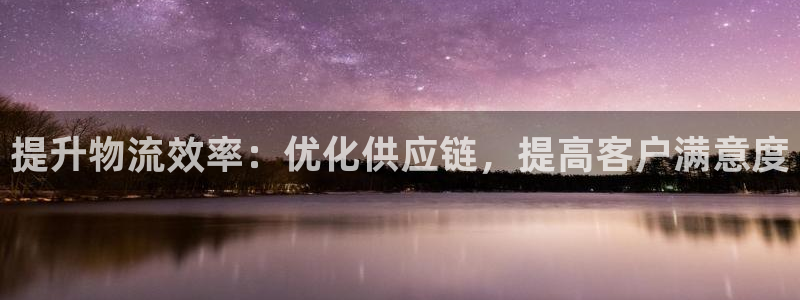 28圈在线预测官网：提升物流效率：优