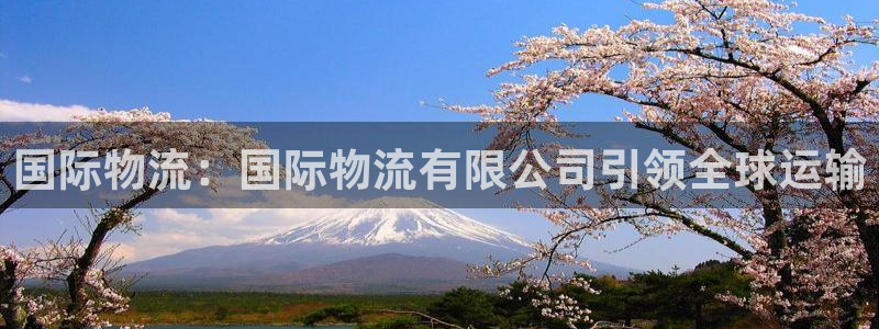 28圈官方网站是多少