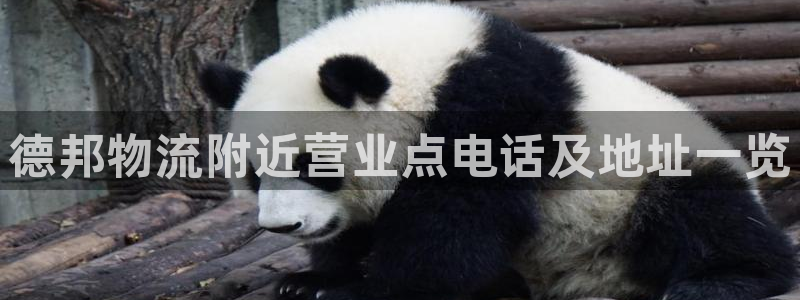 28圈开奖预测